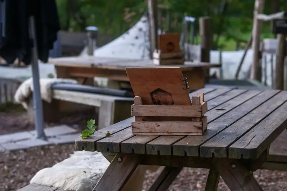 A rustic communal dining table set in a woodland clearing